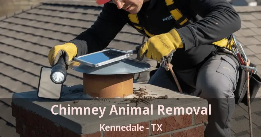Chimney Animal Removal Kennedale - TX