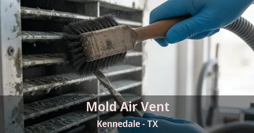 Mold Air Vent Kennedale - TX