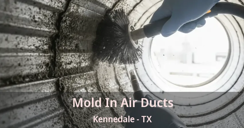 Mold In Air Ducts Kennedale - TX