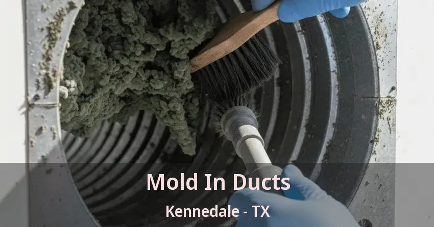 Mold In Ducts Kennedale - TX
